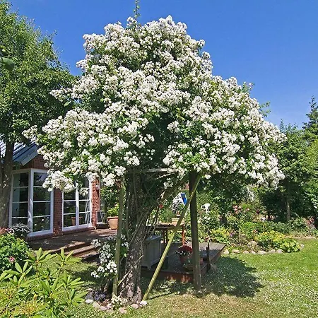 Anne-Whg-1 Apartment